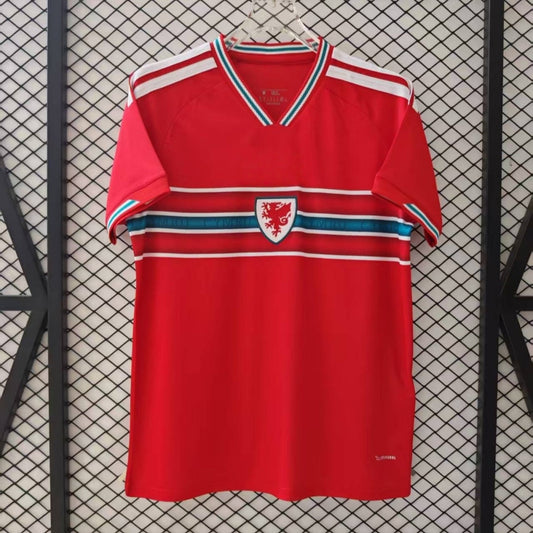 Maillot 25/26 wales Domicile